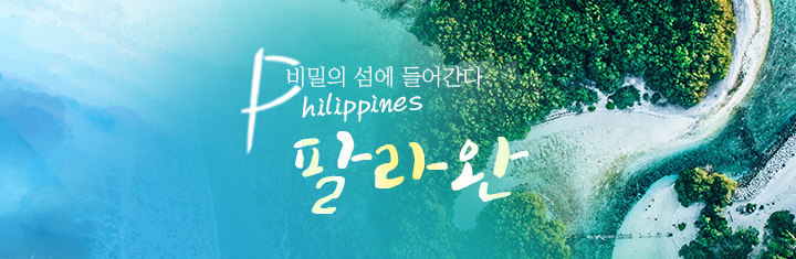팔라완 배너